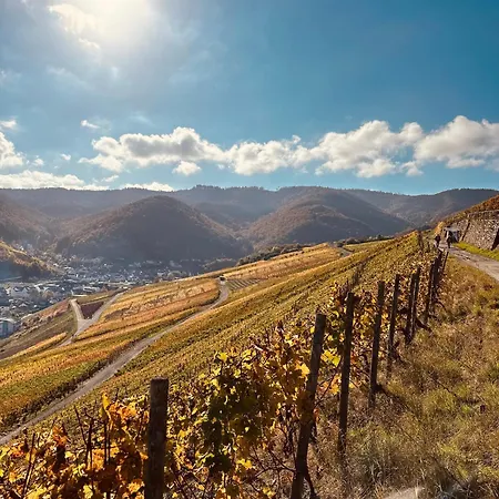 דירה Knabbueuess