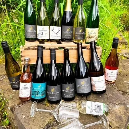 דירה Knabbueuess