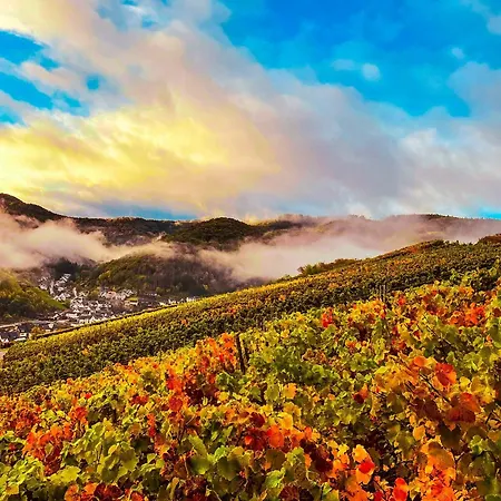 Knabbueuess 데르나우