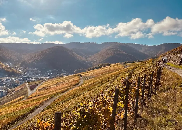 アパート Knabbueuess