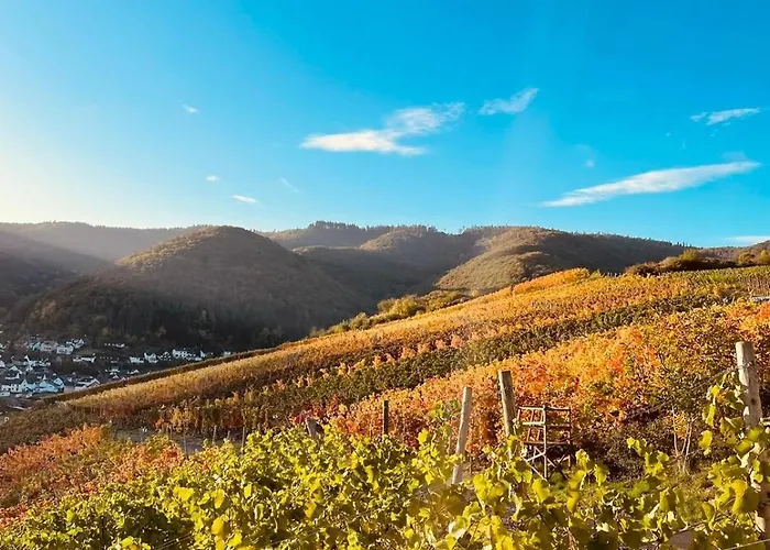 Knabbueuess アパート デルナウ